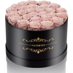 NATROSES Gifts for Her 27 Piece Forever Preserved Roses in a Box, Preserved Flowers for Delivery Birthday, Flowers Gifts for Mothers Day, Dusty Pink