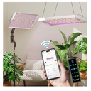 LETPOT 100 Watt (Max 120W Output) Grow Lights for Indoor Plants Full Spectrum, Smart APP, 8-Level Adjustable Light, Hanging & Standing, 270° Foldable, 360° Rotation, 2x3,3x4,18000 Lumens, High ppfd