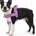 Didog Soft Flannel Padded Dog Vest Harness, No Pull/Quick Fit Reflective Dog Strap Harness, Easy for Training Walking (XS:Chest 15-18", Purple)