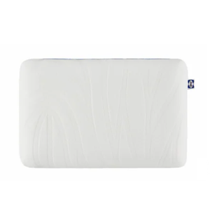 Sealy® Dreamlife Bounce Bed Pillow
 24 x 16 x 5.75 Inch Sealy® Dreamlife Bounce Bed Pillow
 24 x 16 x 5.75 Inch