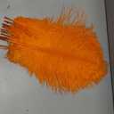 THARAHT Orange Ostrich Feathers 12pcs Large Natural Bulk 16-18Inch 40cm-45cm for Wedding Party Centerpieces Halloween and Home Decoration Feathers