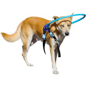 LetPetRun Protective Halo Harness for Blind Dogs,Adjustable Protective Ring Collar Vest, Safe Walking Navigation Aid for Visually Impaired Dogs (21"-25")