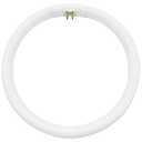 Dlh western 7.25" Bulb Replacement Compatible with T5 Circle Type 22 Watt Lamp for Floxite, Zadro and Rialto Vanity Mirrors