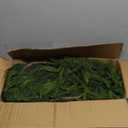 2 Pcs 9 Ft Artificial Norfolk Pine Garlands, Realistic Christmas Pine Garland Faux Winter Greenery for Holiday Table Centerpiece, Mantel, Wall, Indoor, Outdoor Christmas Decor (2, 9 Ft)