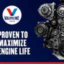 Valvoline Daily Protection 10W-30 Conventional Motor Oil 5 QT