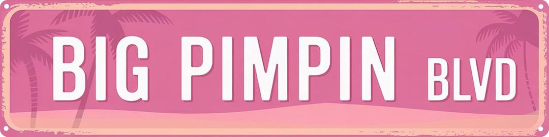Big Pimpin Blvd Funny Rustic Pink Wall Metal Tin Signs Decor 4x16 in