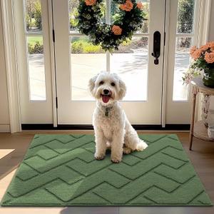 hicorfe Front Door Mat Outside Entrance,32"x40" Absorbent Muddy Dirt Resist Welcome Door Mats Outdoor Indoor,Stain and Fade Resistant,Non Slip Backing Entry Mat Doormat for Entryway(Green) (32x40)
