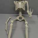 36" Skeleton Halloween Decorations, 3FT Realistic Full Body Movable Posable Joints Skeleton, Creepy Halloween Plastic Skeleton for Graveyard Decorations, Haunted House Props Indoor/Outdoor Decor