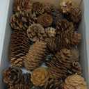 40 PCS Rustic Pine Cone Decorations - Large, Medium and Mini Sizes for Table, Tree and Home Decor
