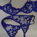 Lilosy Sexy Underwire Cute Push Up Strappy Embroidered Mesh Sheer Lingerie Set See Through Panty Bra (Small, Royal Blue)