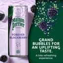 Maison Perrier Forever Blackberry Flavored Sparkling Water, 11.15 Fl Oz Cans, 8 Count, 3 Pack (EXP 04/27/26)