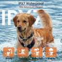 Dog Training Collar, 3 Training Modes,Lightweight Remote Training Collar, Suitable for Small, Medium, and Large Dogs, Rechargeable IPX7 Waterproof, for Dogs 8-120 lbs