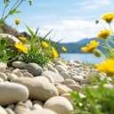 GreenVibe River Rocks, 5lbs Colorful Pebbles for Indoor Plants, 1-2 Inch Aquarium Rocks, Natural Stones for Landscaping Garden Paving Plant Rocks Crafting Walkways