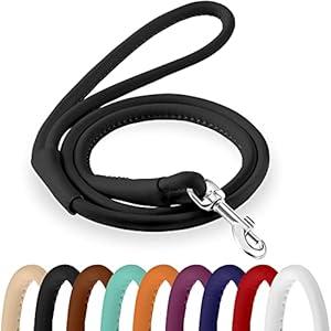 CollarDirect Rolled Leather Dog Leash 6ft, Soft Training Leather Dog Leash for Puppy and Grown Dog Small Medium Large Black Blue Red Orange Green Pink White (Black, Size L 6ft)