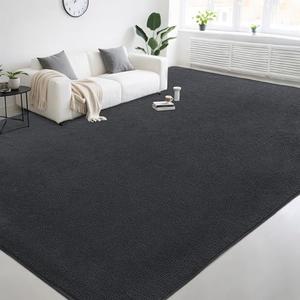 AAFKK Large Modern Area Rugs for Living Room Bedroom, 4x6 Feet Dark Grey Ultra Soft Thickened Memory-Foam Indoor Rug, Comfy Aesthetic Solid Minimalist Carpets for Girls Boys Nursery Dorm Home Decor