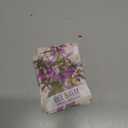 10 x Seed Needs Spotted Bee Balm Seeds to Plant Horsemint Flowers/Herbs 1 Pack