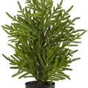 Nearly Natural 2ft. Norfolk Island Pine Natural Look Artificial Tree in Decorative Planter
