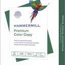 Hammermill Printer Paper, Premium Color 28 lb Copy Paper, 11 x 17-100 Bright, Made in the USA, 102541R - 1 Ream (500 Sheets)