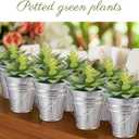 Sadnyy 24 Pcs 3.5 Inch Small Metal Buckets with Handle, Mini Metal Pail Tin Galvanized Pail Container for Crayon Storage Wedding Table Decorations Trick or Treat Flower Plant Party Gift (Silver)