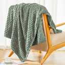 Bnuitland Sage Green Flannel Throw Twin Size Blanket (60X80 inches), 300 GSM Fleece Cozy Warm Soft Home Decor Lightweight Bed Blanket for Adults, Suitable for All Seasons.