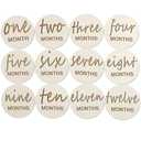 12pcs Wooden Baby Monthly Milestone Cards,Pregnancy and Baby Growth Monthly Milestone Wood Discs,Milestone for Baby Boy,Months Signs Milestone for Baby Girl,Fathers Day Gift (multicolored)