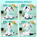 Zomiboo Graduation Dog Autograph Stuffed Animal 2026 Smooth Fabric Stuffed Toy with Congrats Grad Signature Dog Animal with Marking Pen Gold Tassels for Graduate Party Supplies(Green)