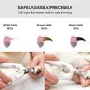 PAKEWAY Dog Nail Clippers with LED Light - Pet Nail Trimmer and File for Small/Medium Dogs, Puppies, Cats, and Rabbits (Grey)