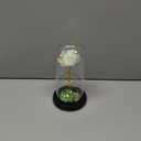 Norcalway Eternal Mothers Day Rose Gifts for Mom - Forever Rose in Glass Dome, A Gift of Lasting Love for Mom, Galaxy Rose