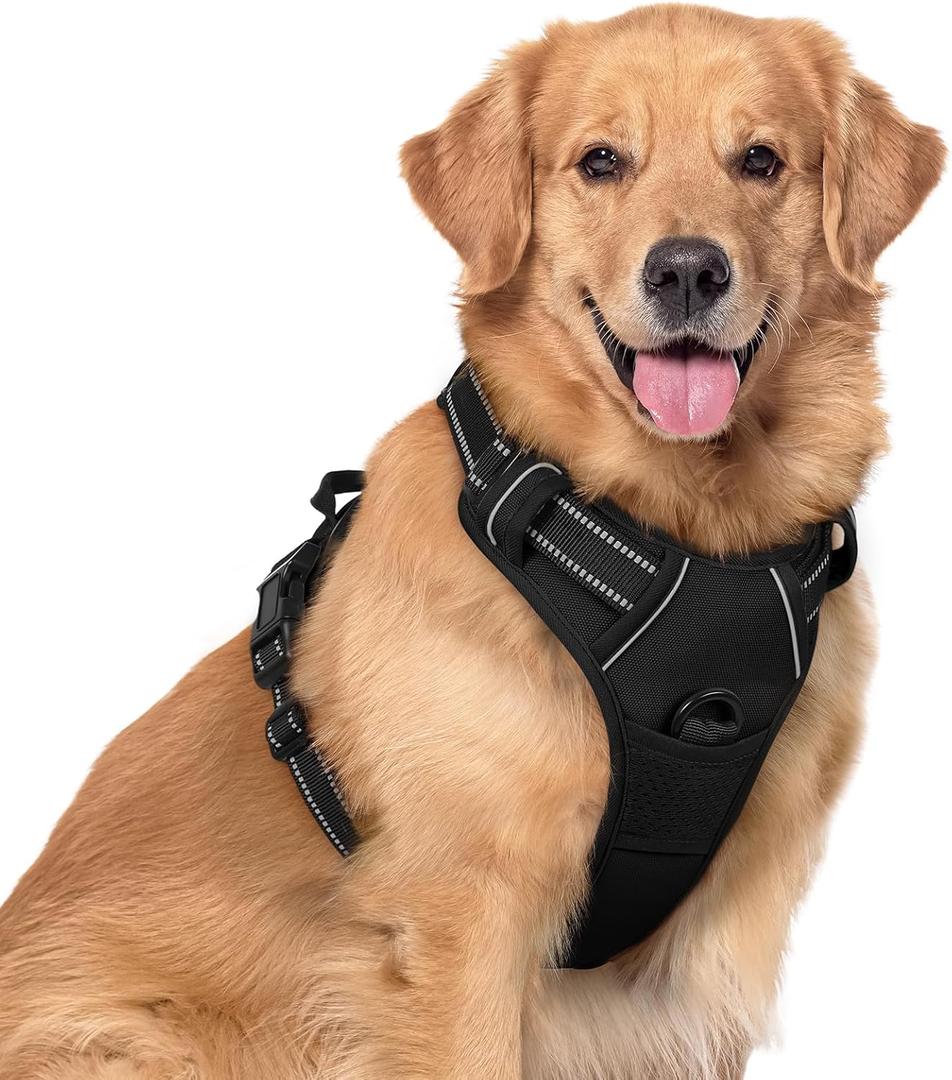 rabbitgoo Dog Harness No Pull with 2 Leash Clips, Adjustable Soft Padded, Reflective Oxford No Choke Pet Vest with Easy Control Handle for Dogs, Black, XL
