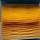 Pendaflex File Organizer, Portafile Expanding Organizer, 19 Pockets, Letter/Legal Size, Green, Durable Construction, Ideal for Home and Office Filing Needs