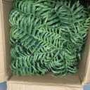 2 Set Fake Ferns with Hanging Baskets, Realistic Fake Hanging Plants, UV Resistant Artificial Ferns Outdoor Faux Plants for Front Porch Patio Garden Home Dcor, No Assembly Required