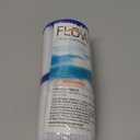 POOL FILTER CARTG I 2PK (2 Count (Pack of 1))