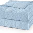 Mr. Sandman Weighted Blanket for Adults Queen Size 15 lbs, Soft Cooling Heavy Minky Blanket for Sleep, Washable Throw Blanket with Glass Beads, 60 x 80 Inches, Light Blue