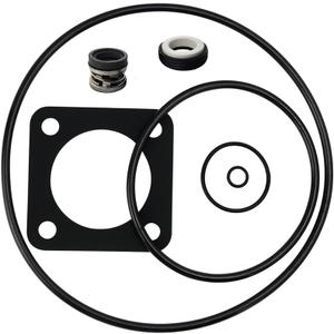O-Ring Replacement Kit (1998 to Present) for Sta-Rite P2RA & P2R DuraGlas/MaxeGlas Pump Rebuild Kit 54