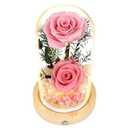Flowers, Roses, Gifts–Flowers Bouquet & Forever Flowers for Delivery Prime - Preserved Flowers Birthday Gift for Women, Valentine's, Mother's Day, Christmas–Lasting Fresh Roses, Battery Included