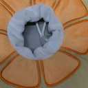 ANWA Adjustable Cat Cone Collar Soft, Cute Cat Donut Collar After Surgery, Kitten Recovery Cones to Stop Licking (Medium, Orange)