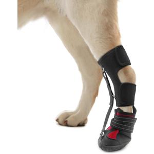 Strap-On Drop Foot Brace (No Knuckling Boot Brace) for Dogs Corrective Dog Shoes to Safely Lift Toes for Foot Issues, Arthritis, and improving Walking gait in Dogs(Small)