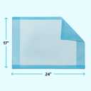 Medline Light Absorbency Underpad, 17" x 24", 100 Count, Disposable Chucks, Bed, Furniture & Surface Protection, For Kids, Adults, Elderly, Puppy Pad, Changing Pad, Incontinence Pee Pad