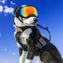 Pacify Dog Goggles for Large Dogs, UV Protection Dog Sunglasses with Adjustable Strap for Large Dog Pet Glasses
