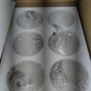 6 Pack Clear Glass Shades Replacement,5.51in Height,3.94in Diameter,1.65in Fitter,High Transmittance Cylinder Glass Lampshade Replacement for Pendant Light Floor lamps Chandelier Wall Sconces