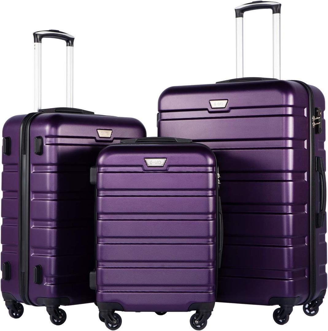 Coolife Luggage 3 Piece Set Suitcase Spinner Hardshell Lightweight TSA Lock (purple, 20/24/28)