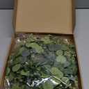 6 Pcs Artificial Eucalyptus Leaves Candle Rings Wreaths 9. 8 Inch Small Boho Greenery Wreath Pillar Candle Holder for Candleholders Kitchen Cabinet Wedding Home Door Table Decor