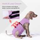 PUMYPOREITY Dog Diaper with Suspender, Escape-Proof Anti-Harassment Garment for Heat Cycle, Incontinence, Puppy Training, Senior Dog, L, Purple