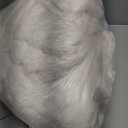 BEDELITE Twin Blanket for Couch & Bed, 300GSM Soft & Warm Fleece Blanket, Decorative and Giftable Striped Cream White Blankets for Women, Men, 60"x80"