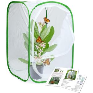 RESTCLOUD Insect and Butterfly Habitat Cage Terrarium Pop-up 23.6 Inches Tall (White With Green) RESTCLOUD Insect and Butterfly Habitat Cage Terrarium Pop-up 23.6 Inches Tall (White With Green)