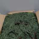 Artificial Cedar Garland, Realistic Green Pine Garland for Indoor & Outdoor Christmas Decorations, Lifelike Cedar Greenery for Mantle, Table, Staircase, and Wall (9FT(2 PCS))