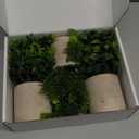 Der Rose 3 Pack Mini Potted Fake Plants Artificial Plastic Eucalyptus Plants Topiaries for Home Office Desk Farmhouse Shelf Room Bathroom Decor(Green)