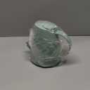 Watering Can for Indoor and Outdoor Plants - Long Spout Water Can for Garden, Flower, House Plants - 1.8L/1/2 Gallon (Green)