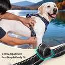 PHOEPET No Pull Dog Harnesses for Small Puppies Reflective Adjustable Front Clip Vest with 2 Metal Leash Attachment Hooks Soft Handle [Over The Head Design](L, Royal Blue)