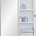 IDYLLOR Plastic Bathroom Medicine Cabinet with Framed Mirror 16 x 22 inch, Surface and Recessed Mount